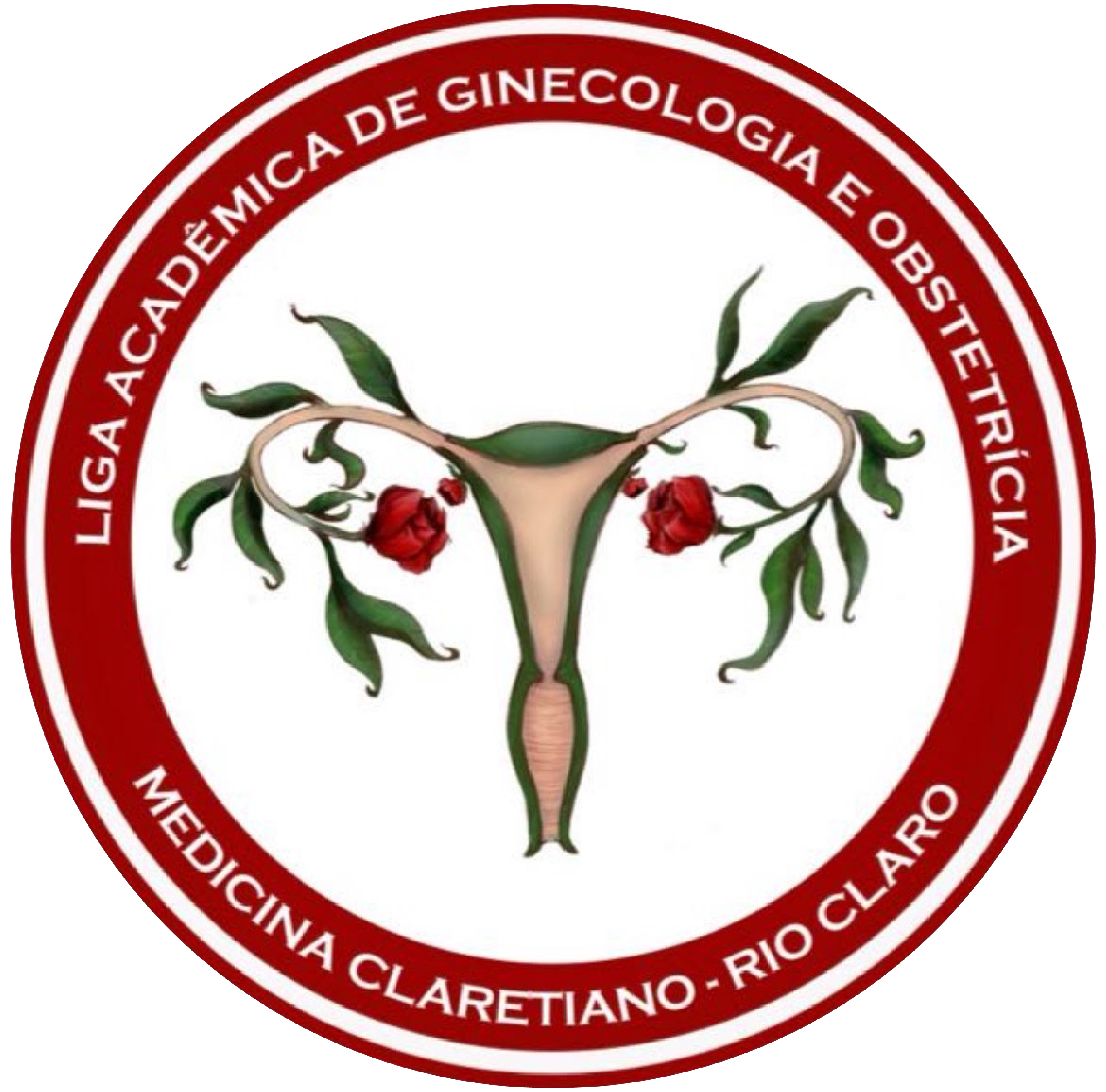 Ginecologia e Obstetrícia