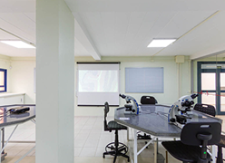 Laboratório de Microscopia