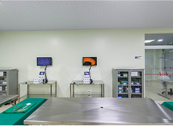 Laboratório de Técnicas Operatórias