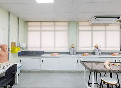 Laboratório de Práticas e Habilidades